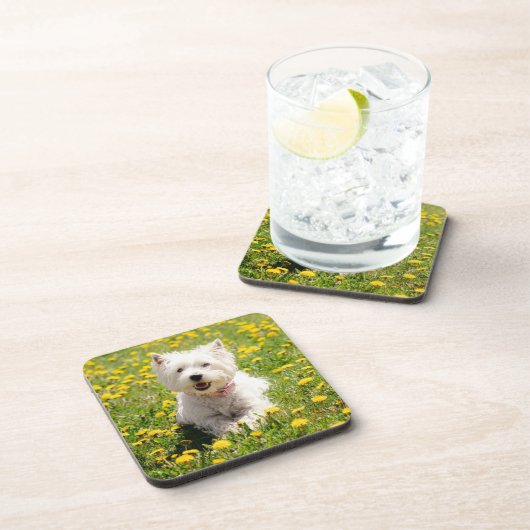 最も可愛い赤ん坊の動物 |タンポポのウェスティー・ドッグ コースター (右側)