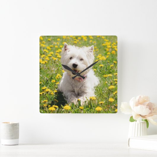 最も可愛い赤ん坊の動物 |タンポポのウェスティー・ドッグ スクエア壁時計 (ホーム)