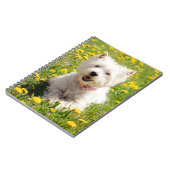 最も可愛い赤ん坊の動物 |タンポポのウェスティー・ドッグ ノートブック (左側)