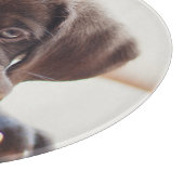 最も可愛い赤ん坊の動物 |チョコレートラブラドール子犬 カッティングボード (角)
