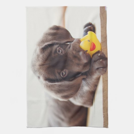 最も可愛い赤ん坊の動物 |チョコレートラブラドール子犬 キッチンタオル (縦)