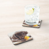 最も可愛い赤ん坊の動物 |チョコレートラブラドール子犬 コースター (右側)