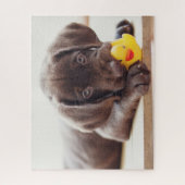 最も可愛い赤ん坊の動物 |チョコレートラブラドール子犬 ジグソーパズル (縦)