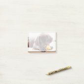 最も可愛い赤ん坊の動物 |チョコレートラブラドール子犬 ポストイット (デスク上)