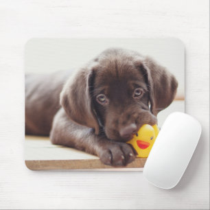 最も可愛い赤ん坊の動物  チョコレートラブラドール子犬 マウスパッド