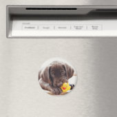 最も可愛い赤ん坊の動物 |チョコレートラブラドール子犬 マグネット (インサイチュ (食洗機))