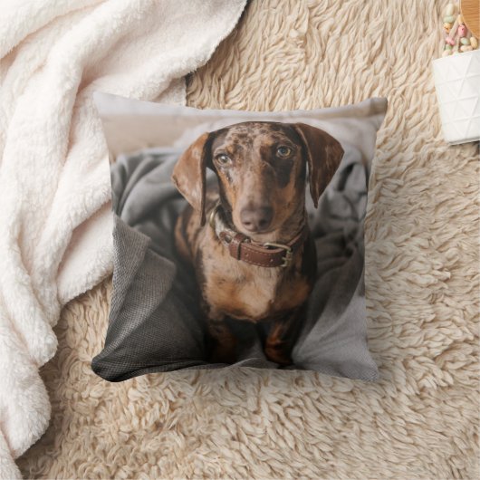 最も可愛い赤ん坊の動物 |チョコレートDapple Dachshund クッション (ブランケット)