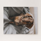 最も可愛い赤ん坊の動物 |チョコレートDapple Dachshund ジグソーパズル (横)