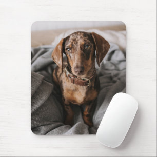 最も可愛い赤ん坊の動物  チョコレートDapple Dachshund マウスパッド