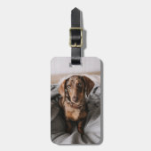 最も可愛い赤ん坊の動物 |チョコレートDapple Dachshund ラゲッジタグ (正面縦)