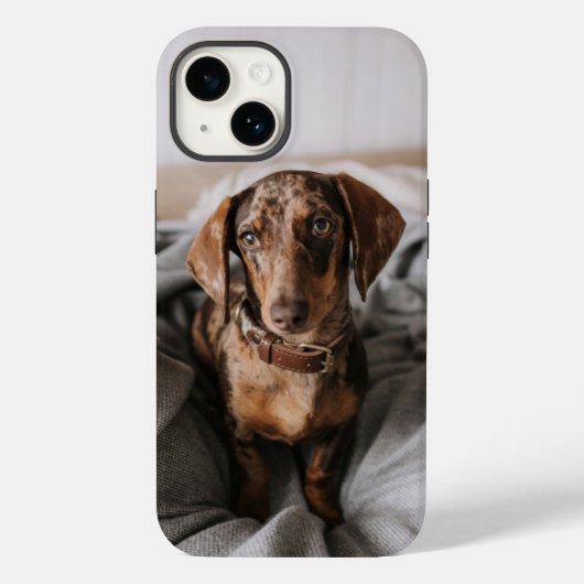 最も可愛い赤ん坊の動物 |チョコレートDapple Dachshund Case-Mate iPhoneケース (裏面)