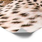 最も可愛い赤ん坊の動物 |チーター・キャット&カブ ポスター (角)