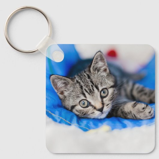 最も可愛い赤ん坊の動物 |トンネル内の虎猫の遊子猫 キーホルダー (正面)