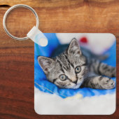 最も可愛い赤ん坊の動物 |トンネル内の虎猫の遊子猫 キーホルダー (正面)