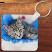 最も可愛い赤ん坊の動物 |トンネル内の虎猫の遊子猫 キーホルダー (裏面)