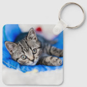 最も可愛い赤ん坊の動物 |トンネル内の虎猫の遊子猫 キーホルダー (裏面)