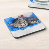 最も可愛い赤ん坊の動物 |トンネル内の虎猫の遊子猫 コースター (左側)