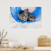 最も可愛い赤ん坊の動物 |トンネル内の虎猫の遊子猫 ポスター (キッチン)