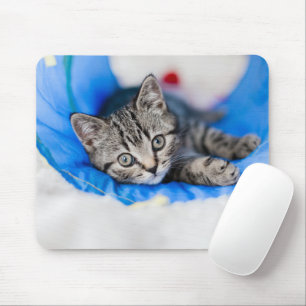 最も可愛い赤ん坊の動物 トンネル内の虎猫の遊子猫 マウスパッド