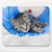 最も可愛い赤ん坊の動物 |トンネル内の虎猫の遊子猫 マウスパッド (正面)