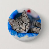 最も可愛い赤ん坊の動物 |トンネル内の虎猫の遊子猫 缶バッジ (正面)