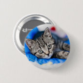 最も可愛い赤ん坊の動物 |トンネル内の虎猫の遊子猫 缶バッジ (正面&裏面)