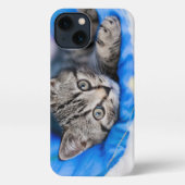 最も可愛い赤ん坊の動物 |トンネル内の虎猫の遊子猫 iPhoneケース (裏面)