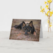 最も可愛い赤ん坊の動物 |ドイツの羊飼い カード (黄色い花)