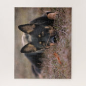 最も可愛い赤ん坊の動物 |ドイツの羊飼い ジグソーパズル (縦)