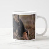 最も可愛い赤ん坊の動物 |ドイツの羊飼い ジャンボコーヒーマグカップ (右)