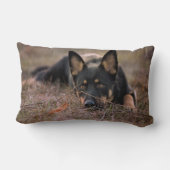 最も可愛い赤ん坊の動物 |ドイツの羊飼い ランバークッション (裏面)