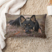 最も可愛い赤ん坊の動物 |ドイツの羊飼い ランバークッション (ブランケット)