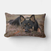 最も可愛い赤ん坊の動物 |ドイツの羊飼い ランバークッション (正面)