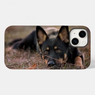 最も可愛い赤ん坊の動物 ドイツの羊飼い Case-Mate iPhone 14ケース