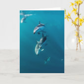 最も可愛い赤ん坊の動物 |ドルフィンファミリー カード (黄色い花)