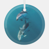 最も可愛い赤ん坊の動物 |ドルフィンファミリー ガラスオーナメント (正面)