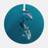 最も可愛い赤ん坊の動物 |ドルフィンファミリー ガラスオーナメント (裏面)