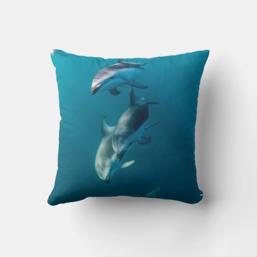 最も可愛い赤ん坊の動物 |ドルフィンファミリー クッション (裏面)