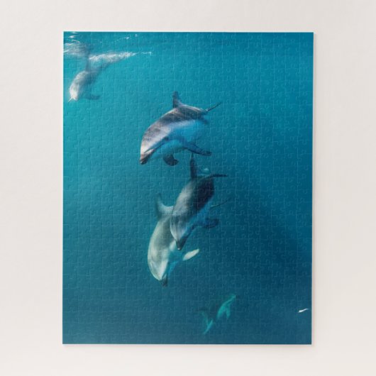 最も可愛い赤ん坊の動物 |ドルフィンファミリー ジグソーパズル (縦)