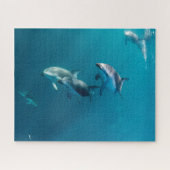 最も可愛い赤ん坊の動物 |ドルフィンファミリー ジグソーパズル (横)