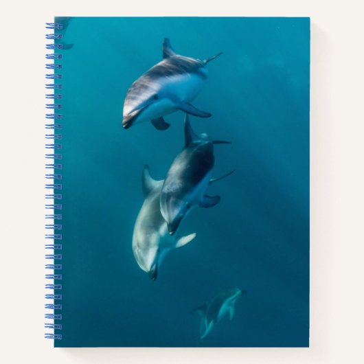最も可愛い赤ん坊の動物 |ドルフィンファミリー ノートブック (正面)