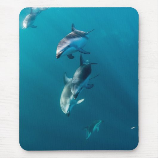 最も可愛い赤ん坊の動物 |ドルフィンファミリー マウスパッド (正面)