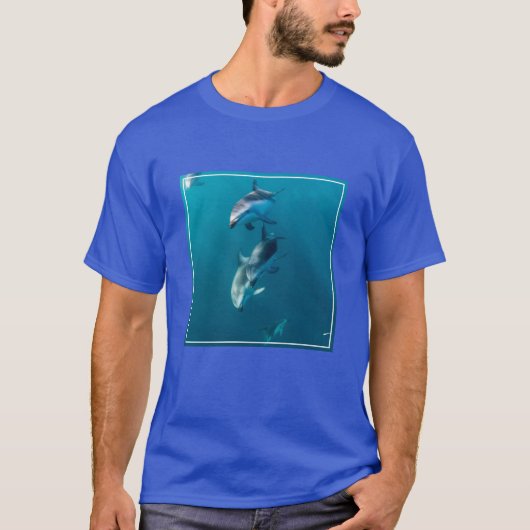 最も可愛い赤ん坊の動物 |ドルフィンファミリー Tシャツ (正面)