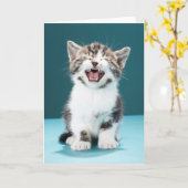 最も可愛い赤ん坊の動物 |ニャーグベビー子猫 カード (黄色い花)