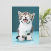 最も可愛い赤ん坊の動物 |ニャーグベビー子猫 サンキューカード (スタンド正面)