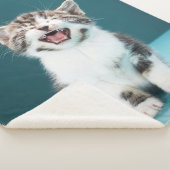 最も可愛い赤ん坊の動物 |ニャーグベビー子猫 シェルパブランケット (3/4)