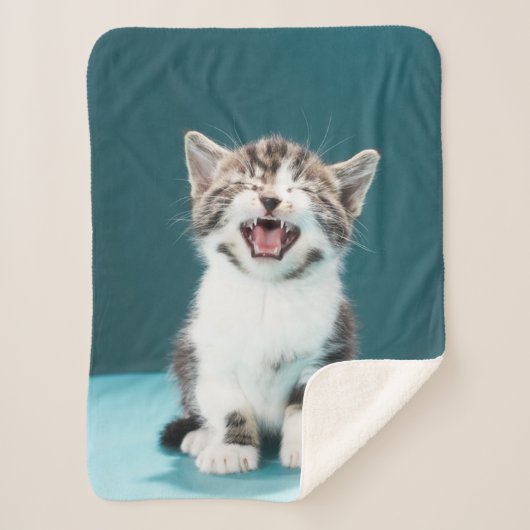 最も可愛い赤ん坊の動物 |ニャーグベビー子猫 シェルパブランケット (正面)