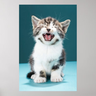 最も可愛い赤ん坊の動物 ニャーグベビー子猫 ポスター