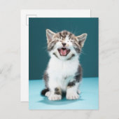 最も可愛い赤ん坊の動物 |ニャーグベビー子猫 ポストカード (正面/裏面)