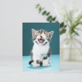 最も可愛い赤ん坊の動物 |ニャーグベビー子猫 ポストカード (スタンド正面)